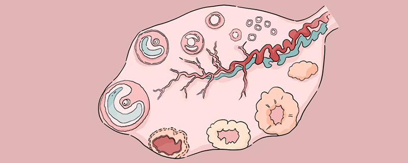 卵巢早衰是什么原因}