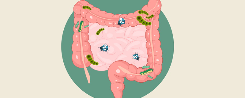 肠炎有什么症状
