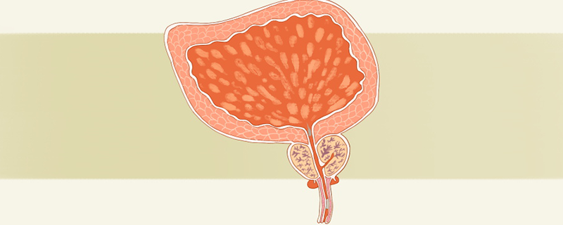 年輕人得前列腺會(huì)好嗎}