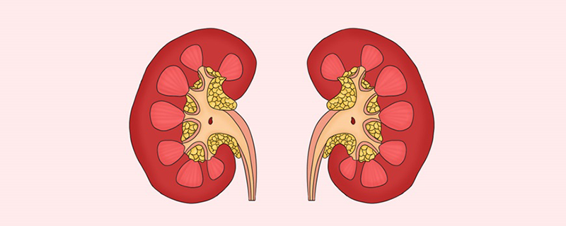 腎衰竭患者為什么脾氣變暴躁}