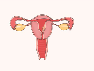 怎么判断输卵管畅通？这些可以帮助你