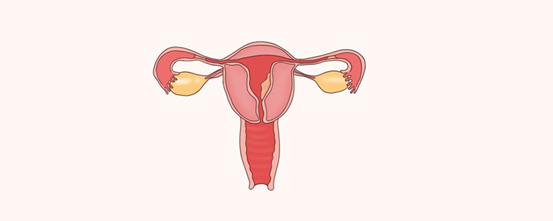 输卵管脓肿是什么原因引起的