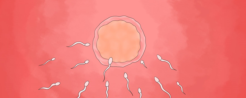 精子能在女性体内存活多长时间