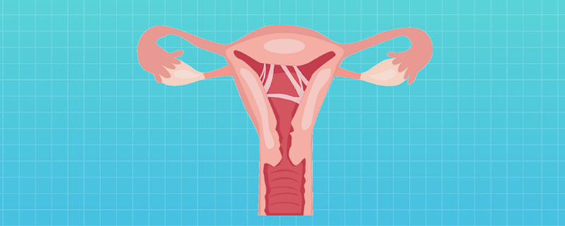 子宫肌瘤会变成子宫癌吗