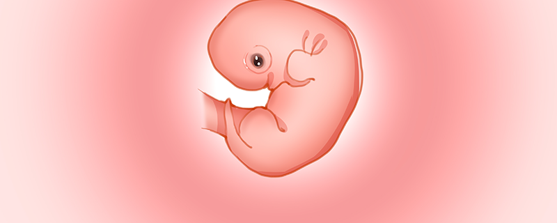 一般几个胚胎建议养囊