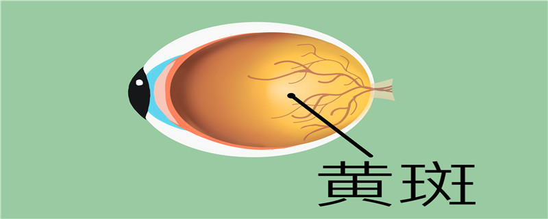黄斑病变新生血管能治好吗}