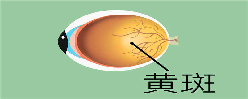 眼底黃斑水腫中醫的治療方法是什么