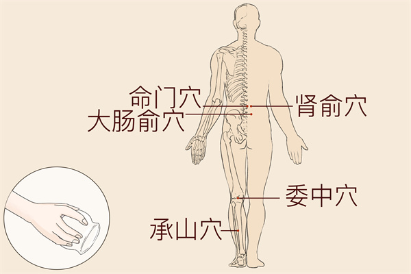 人体保健穴位有哪些