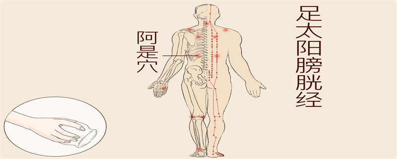 人体穴位的功效作用大全