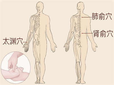 点穴减肥 一点就瘦