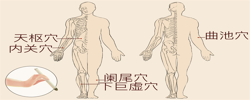 闌尾炎引起的發(fā)燒會(huì)自己降下來嗎}