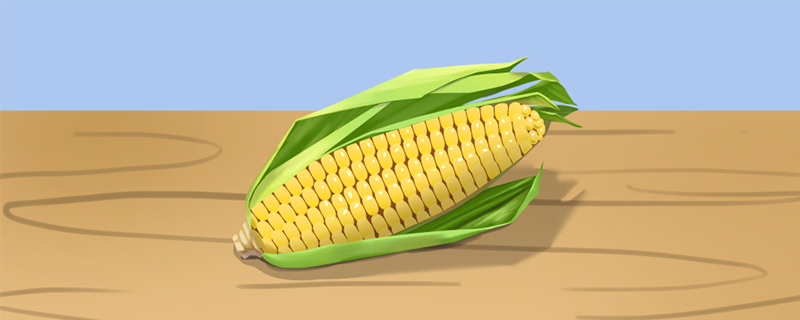 煮熟的玉米可以冷冻保存吗