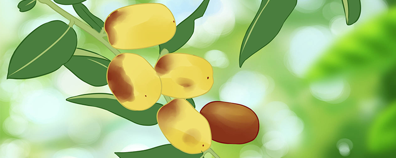 尿毒症可以吃青枣吗