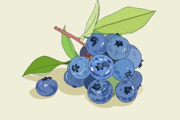 蓝莓是热性还是凉性食物