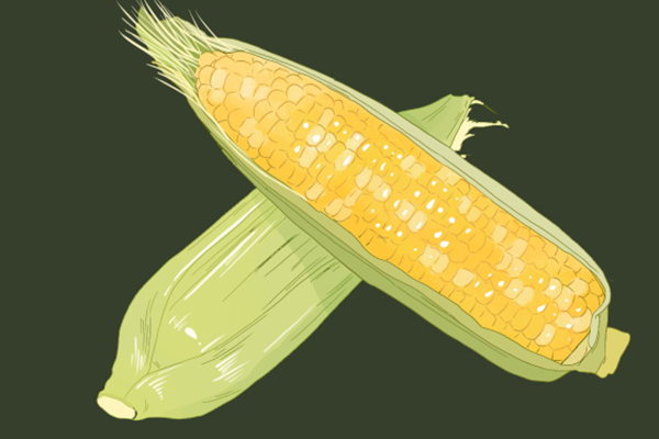 玉米须2.jpg