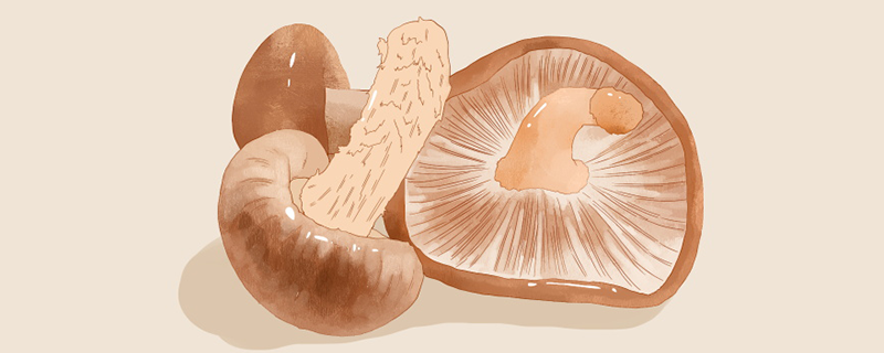 減肥能吃香菇嗎