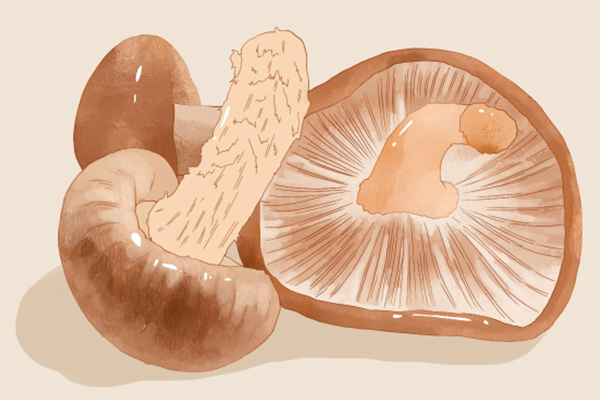 吃菌菇类有什么好处